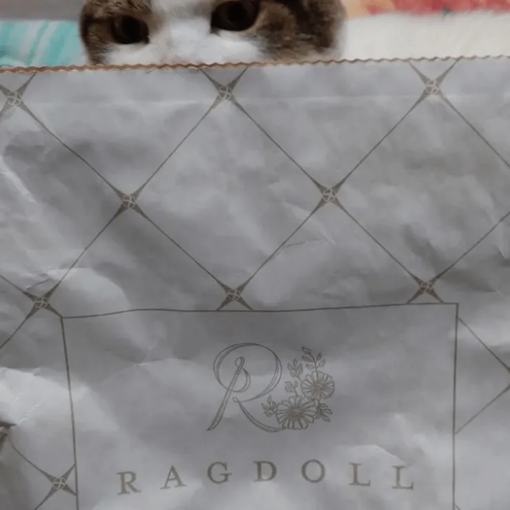 猫ちゃんも飼い主さんも感動。至福の猫砂 RAGDOLLプレミアムサンド